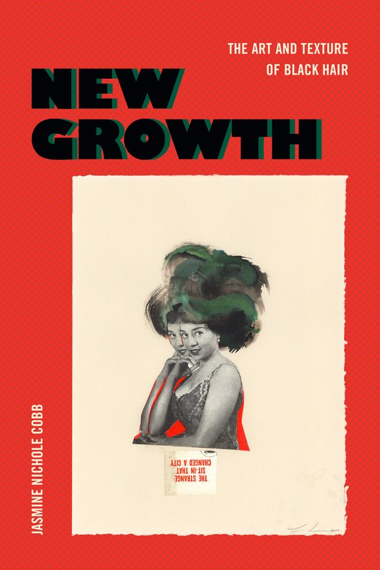 The Visual Arts of Africa and Its Diasporas- New Growth - cover