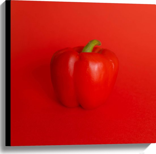 Canvas - Rode Paprika tegen Rode Achtergrond - 60x60 cm Foto op Canvas Schilderij (Wanddecoratie op Canvas)