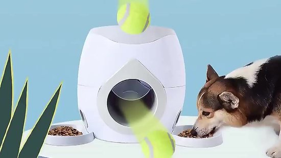 Intelligent Speelgoed Voor Honden