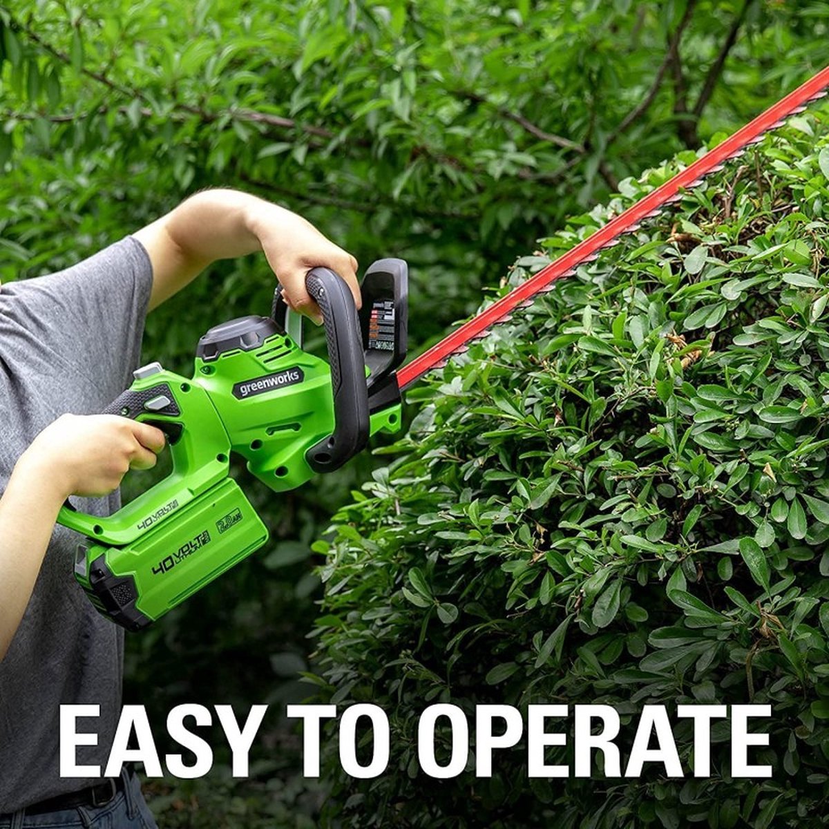 Greenworks G40HT61K2 40V Taille-haie sans fil - avec batterie 2 Ah et chargeur