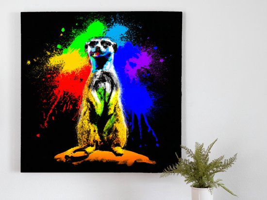 Colorful Meerkat Burst kunst - 80x80 centimeter op Canvas | Foto op Canvas - wanddecoratie