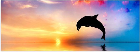 WallClassics - Poster Glanzend – Zonsondergang bij Silhouet van Dolfijn boven Water in Kleurrijke Omgeving - 60x20 cm Foto op Posterpapier met Glanzende Afwerking