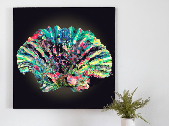 Colorful clam chaos | Colorful Clam Chaos | Kunst - 80x80 centimeter op Dibond | Foto op Dibond