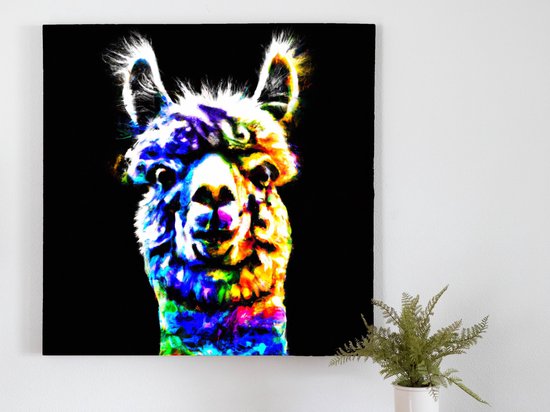 Allard the Alpaca kunst - 30x30 centimeter op Canvas | Foto op Canvas - wanddecoratie