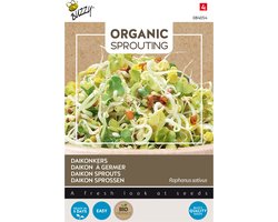 Buzzy® Organic Sprouting Daikonkers (BIO) - Knapperige microgreens met een frisse radijssmaak