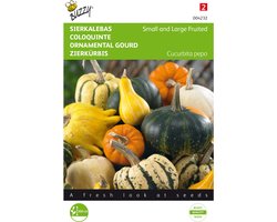 Sierpompoen - Cucurbita pepo
