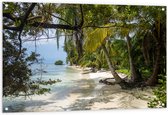 WallClassics - Tuinposter – Natuurgebied in Panama, Amerika - 120x80 cm Foto op Tuinposter (wanddecoratie voor buiten en binnen)