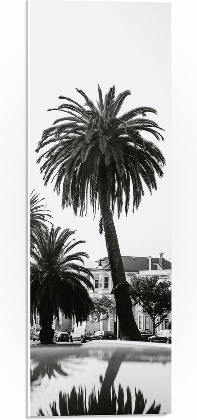 WallClassics - PVC Schuimplaat- Palmbomen in Amerikaanse Buurt (Zwart- wit) - 20x60 cm Foto op PVC Schuimplaat