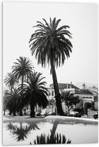 WallClassics - Acrylglas - Palmbomen in Amerikaanse Buurt (Zwart- wit) - 50x75 cm Foto op Acrylglas (Met Ophangsysteem)