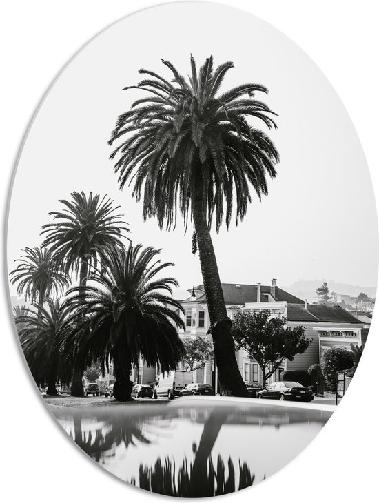 WallClassics - PVC Schuimplaat Ovaal - Palmbomen in Amerikaanse Buurt (Zwart- wit) - 51x68 cm Foto op Ovaal (Met Ophangsysteem)