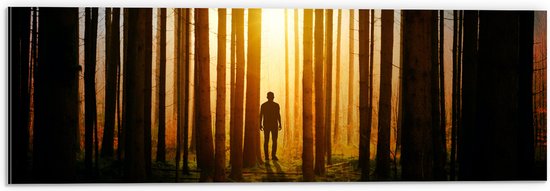 Dibond - Man in Bos met Hoge Bomen tijdens Felkleurige Zonsondergang - 60x20 cm Foto op Aluminium (Wanddecoratie van metaal)