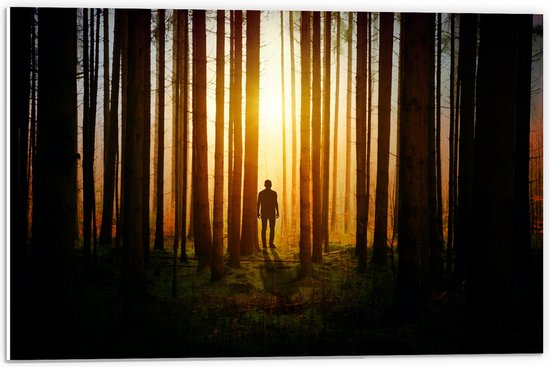 PVC Schuimplaat- Man in Bos met Hoge Bomen tijdens Felkleurige Zonsondergang - 60x40 cm Foto op PVC Schuimplaat