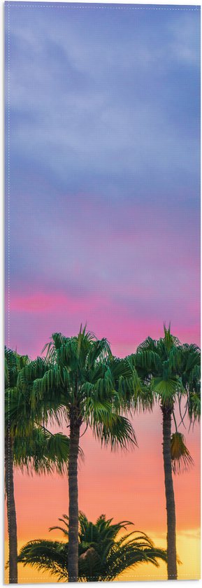 WallClassics - Vlag - Palmbomen met Kleurrijke Lucht - 20x60 cm Foto op Polyester Vlag