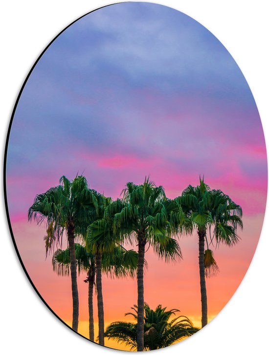 WallClassics - Dibond Ovaal - Palmbomen met Kleurrijke Lucht - 30x40 cm Foto op Ovaal (Met Ophangsysteem)