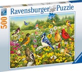 Ravensburger puzzel Vogels in de Wei - Legpuzzel - 500 stukjes