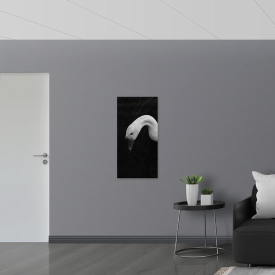 WallClassics - Poster (Mat) - Photo Zwart et Wit de tête de cygne - 50x100 cm Photo sur papier poster avec un aspect mat