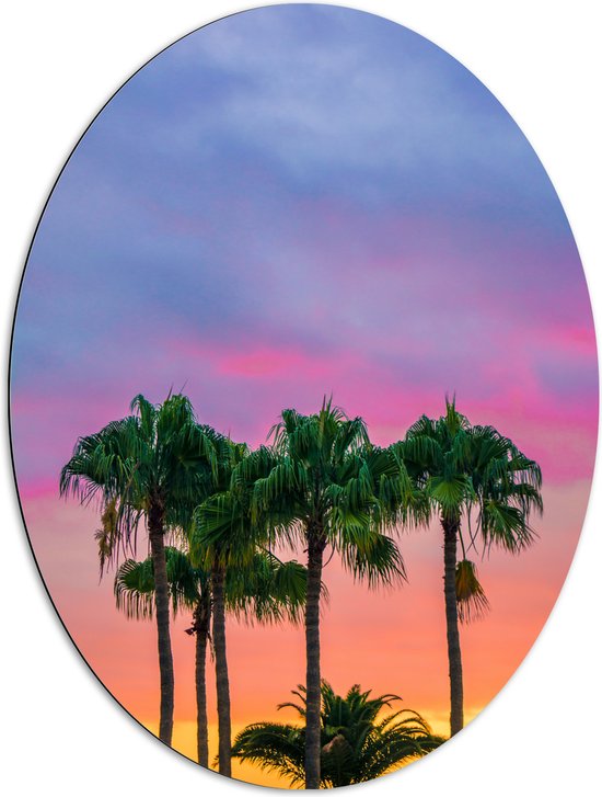 WallClassics - Dibond Ovaal - Palmbomen met Kleurrijke Lucht - 72x96 cm Foto op Ovaal (Met Ophangsysteem)