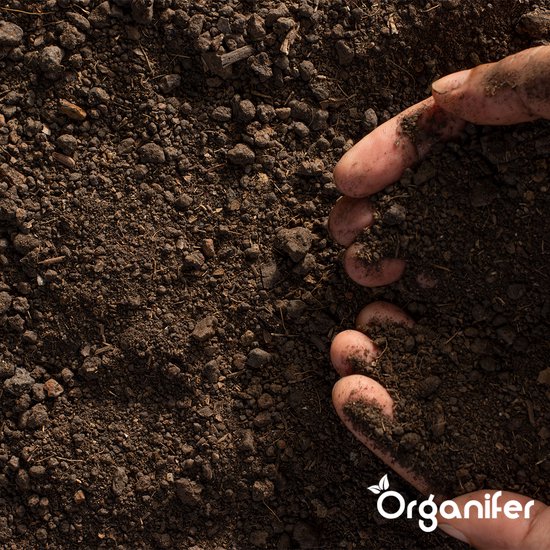 EM Effectieve micro-organismen - Mulder Agro