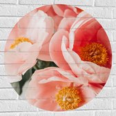 Muursticker Cirkel - Roze Bloemenboeket - 70x70 cm Foto op Muursticker