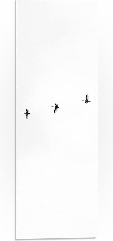 WallClassics - PVC Schuimplaat - Zwarte Vogels Vliegend in Lijn op Witte Achtergrond - 20x60 cm Foto op PVC Schuimplaat (Met Ophangsysteem)