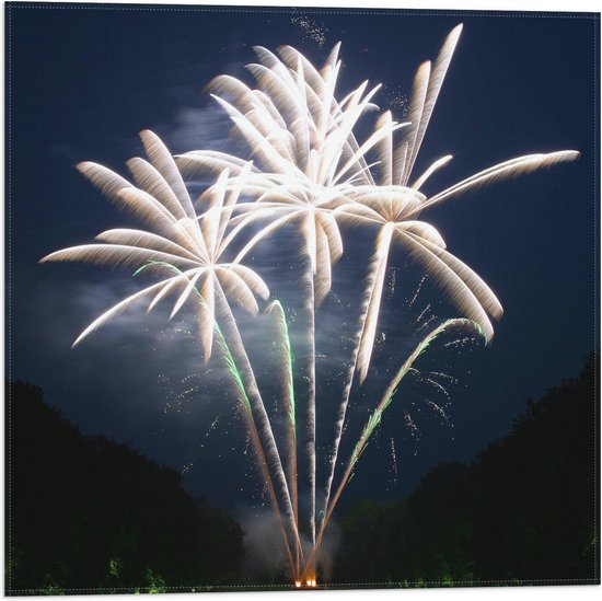 Vlag - Vuurwerkshow tussen de Bomen - 50x50 cm Foto op Polyester Vlag
