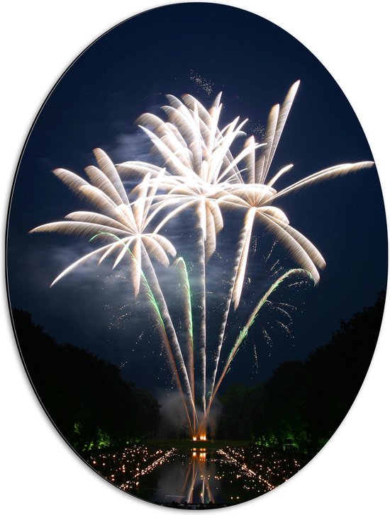 Dibond Ovaal - Vuurwerkshow tussen de Bomen - 51x68 cm Foto op Ovaal (Met Ophangsysteem)