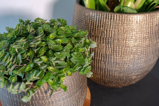 Ter Steege Plantenpot - metal look - goudkleurig - D26 x H25 cm - bloempot