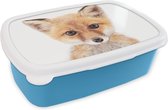 Broodtrommel Blauw - Lunchbox - Brooddoos - Vos - Dieren - Oranje - Natuur - 18x12x6 cm - Kinderen - Jongen