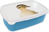 Broodtrommel Blauw - Lunchbox - Brooddoos - Eend - Geel - Dieren - Natuur - 18x12x6 cm - Kinderen - Jongen