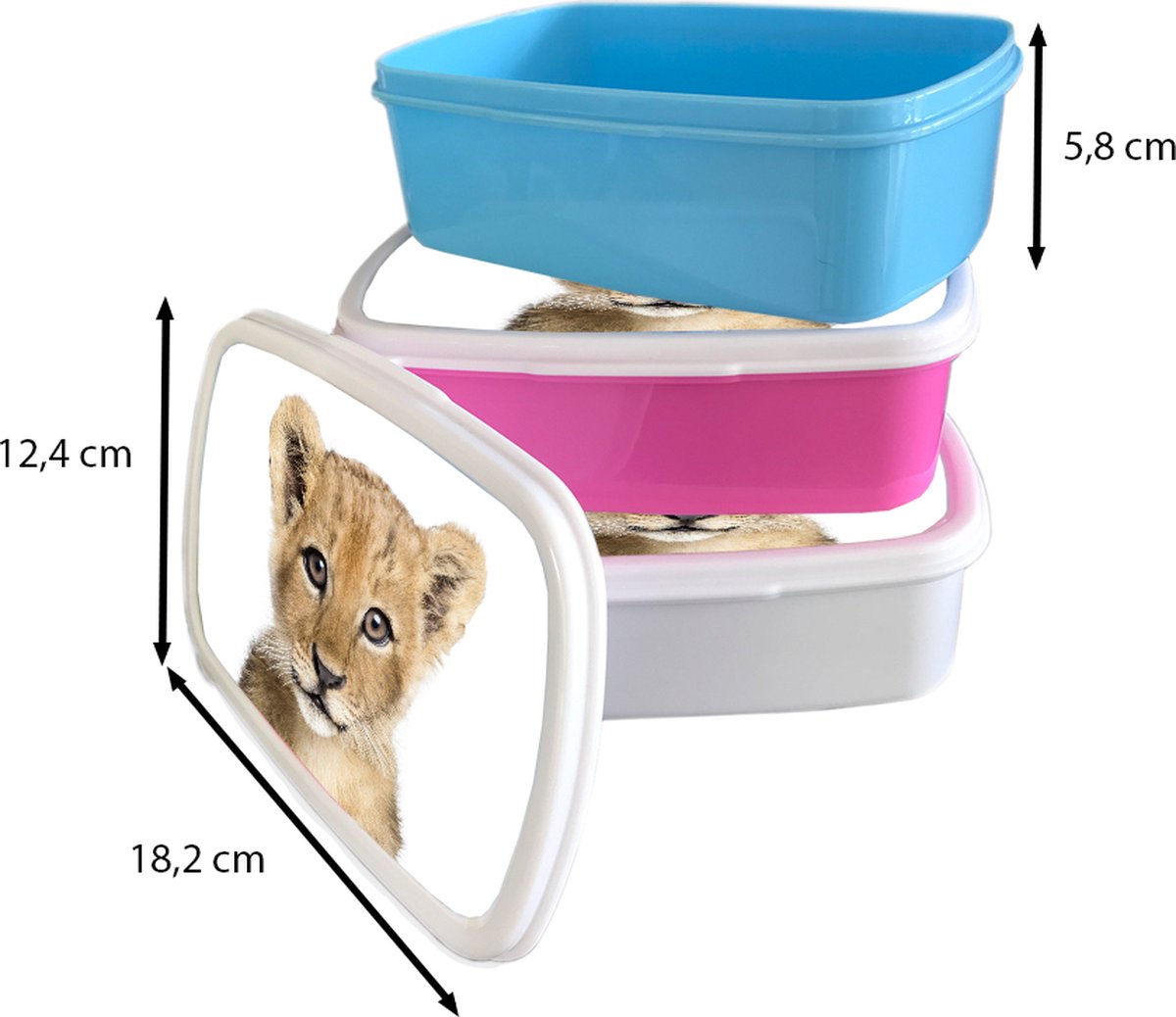 Broodtrommel Wit - Lunchbox - Brooddoos - Leeuw - Dieren - Natuur - Wit - 18x12x6 cm - Volwassenen