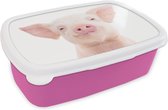 Broodtrommel Roze - Lunchbox - Brooddoos - Varken - Roze - Dieren - Natuur - 18x12x6 cm - Kinderen - Meisje