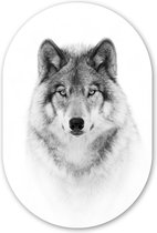 Loup - Animaux - Portrait - Plaque plastique Wit (épaisseur 5mm) - Forme miroir ovale sur plastique