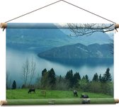 Textielposter - Koeien Grazend in het Gras in Berggebied - 60x40 cm Foto op Textiel