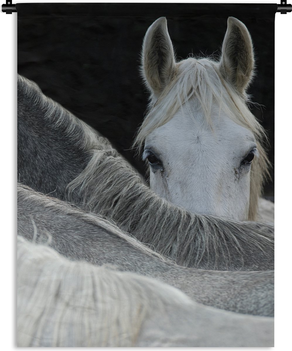 Wandkleed - Wanddoek - Paarden - Dieren - Zwart - Wit - 60x80 cm - Wandtapijt