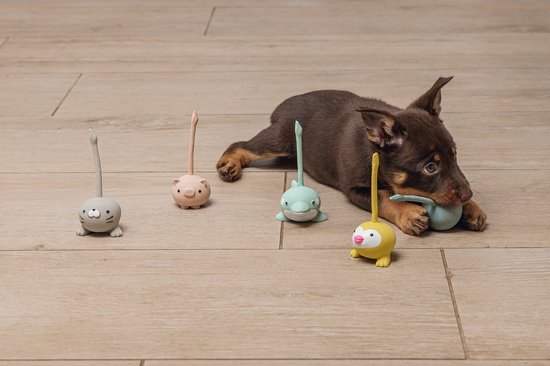 Bruine puppy ligt naast zeevogel, varken, dolfijn en gele leeuwenspeeltjes.