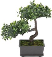 H&S Collection Plante artificielle Bonsaï en pot - Décoration japonaise - 27 x 16 x 24 cm - Feuilles vertes