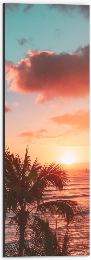 Dibond - Palmboom en Zee bij de Zonsondergang - 20x60 cm Foto op Aluminium (Wanddecoratie van metaal)