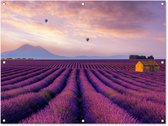 Tuinposter lavendel - Bloemen - Luchtballon - Paars - Landschap - Tuindecoratie - Tuinschilderij voor buiten - 120x90 cm - Schutting decoratie - Schuttingdoek - Tuin - Tuindoek - Buitenposter
