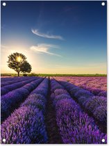 Tuinposter lavendel - Tuindecoratie bloemen - 60x80 cm - Wanddecoratie voor buiten - Schutting decoratie paars - Buitenposter - Paarse schuttingdoek - Tuindoeken - Tuin doek - Balkon poster