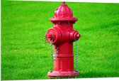 PVC Schuimplaat- Rode Brandweerpaal in Groen Gras - 120x80 cm Foto op PVC Schuimplaat