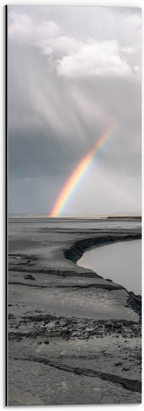 Dibond - Regenboog bij Dondere Lucht - 20x60 cm Foto op Aluminium (Met Ophangsysteem)