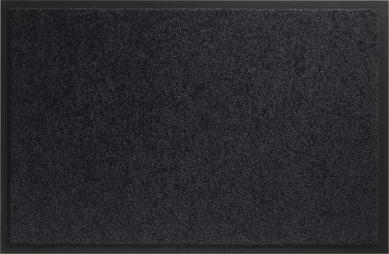 Schoonloopmat - 60x80 cm - Droogloopmat voor binnen - Anti slip deurmat - Antractiet