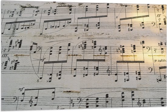 Vlag - Muziek Notenblad - 105x70 cm Foto op Polyester Vlag