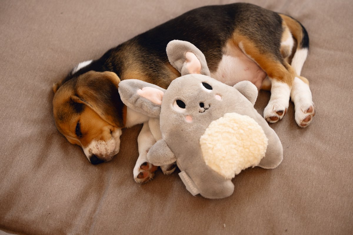 Beeztees Puppy Snoet - Puppy Speelgoed - Puppyknuffel - Hondenspeelgoed - Pluche - Grijs - 25x20x7,5 cm thumbnail 2