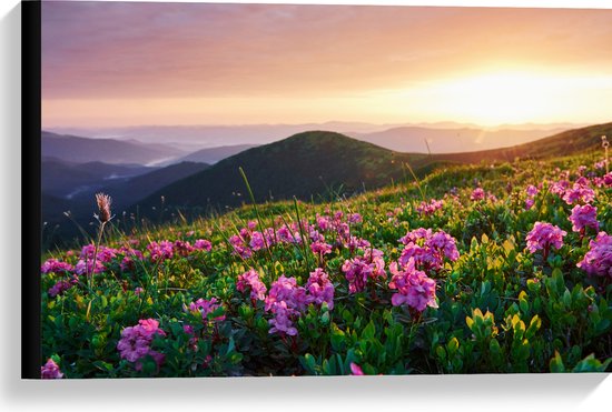 Canvas - Roze Bloemen op de Bergen van Landschap tijdens Zonsopkomst - 60x40 cm Foto op Canvas Schilderij (Wanddecoratie op Canvas)