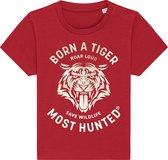 Most Hunted - baby t-shirt - tijger - rood - goud - maat 0-6 maanden
