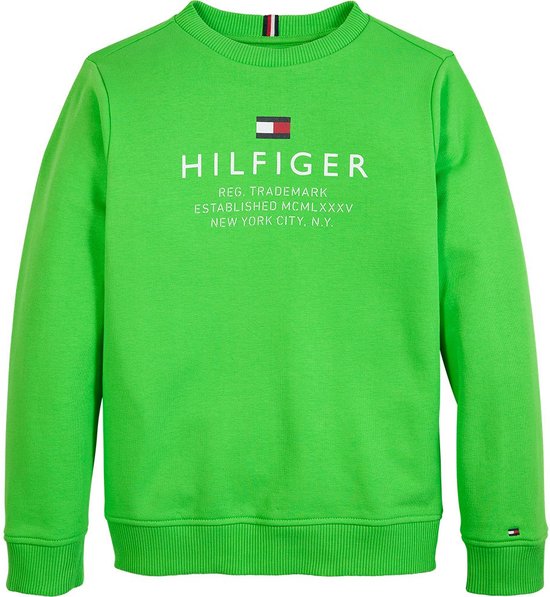 Watt sector Plak opnieuw Tommy Hilfiger Th Logo Sweatshirt Truien & Vesten Jongens - Sweater -  Hoodie - Vest-... | bol.com