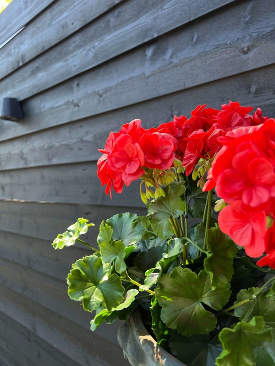 LeopoldFlora Kunst Geraniums voor Buiten - Rode XL UV-bestendig | bol