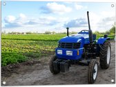 Tuinposter – Blauwe Traktor geparkeerd langs Weiland vol Gewassen onder Schapen Bewolking - 80x60 cm Foto op Tuinposter (wanddecoratie voor buiten en binnen)