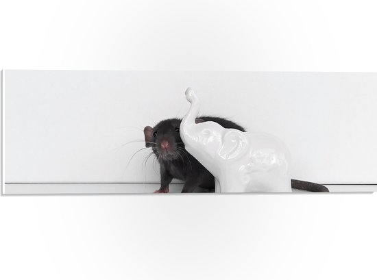 PVC Schuimplaat- Grijze Muis bij Miniatuur Olifanten Beeldje tegen